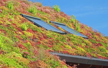 Shoscombe Vale living roof systems