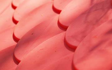 Shoscombe Vale plastic roof costs